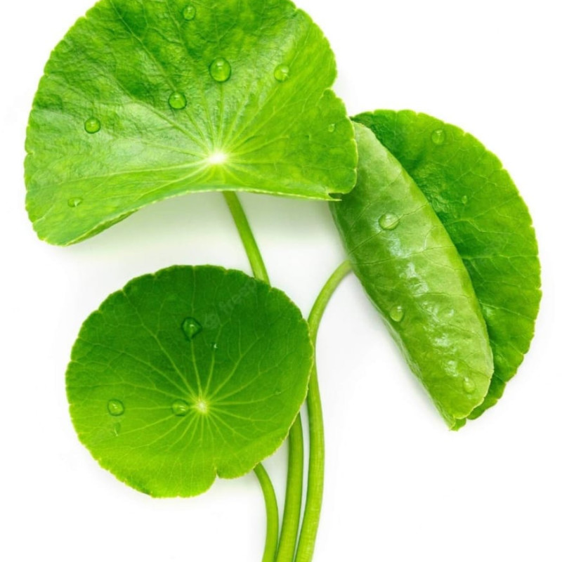 Deep cleansing bubble mask (imported)